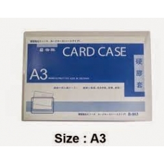 Card case A4